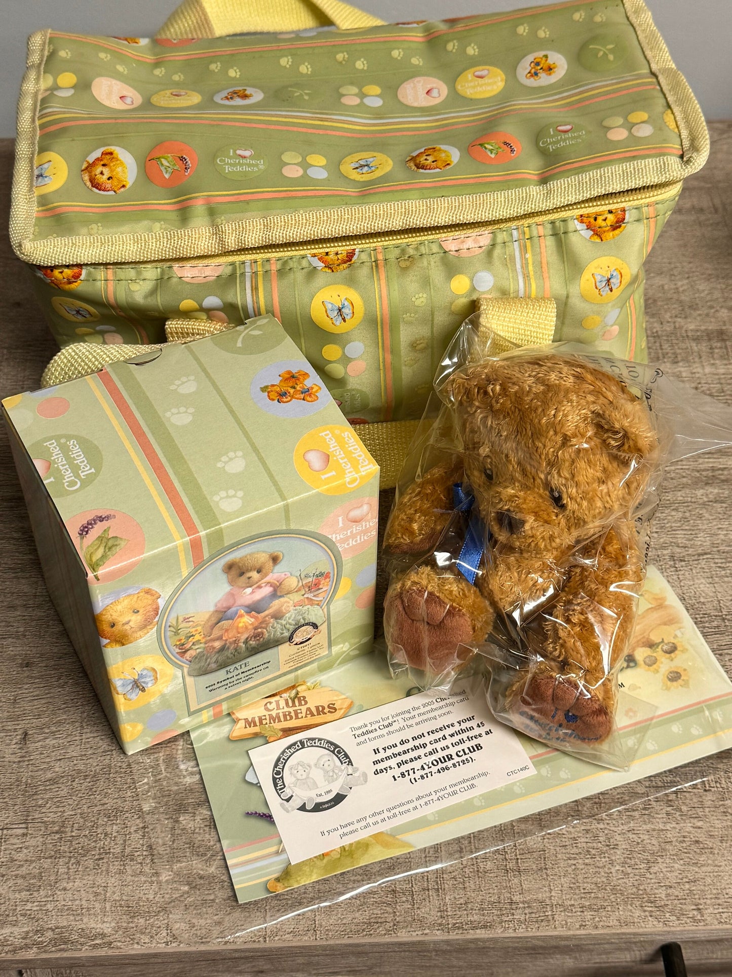 Cherished Teddies by Enesco 2005 Membear Kit - Kate, Cuddly Plush Bear, Cooler